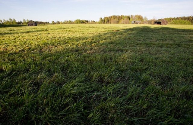 Majanduskeskkonna paranemine soodustab hoonestamata äri- ja tootmismaade tehinguaktiivsust 